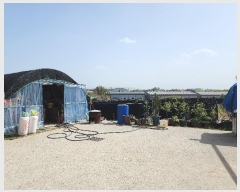  2024Ÿ53532  ûֽ û ̸ 踮 170-4     (Ӿ)