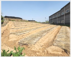  2024Ÿ53532  ûֽ û ̸ 踮 170-4     (Ӿ)