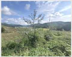  2024Ÿ��60301  â�����