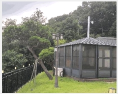  2024Ÿ60493  걺 Ҽ 漱 432      (ķ)