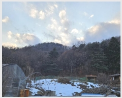  2024Ÿ��64778 ��� ��õ�� �������� ������ ��4-3      ����(�Ӿ�)���