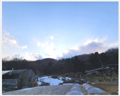  2024Ÿ��64778 ��� ��õ�� �������� ������ ��4-3      ����(�Ӿ�)���