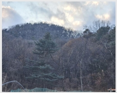  2024Ÿ��64778 ��� ��õ�� �������� ������ ��4-3      ����(�Ӿ�)���