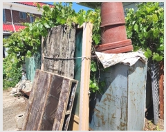  2024Ÿ��2572  ������