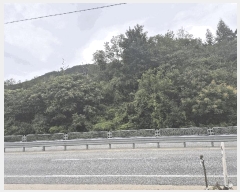  2024Ÿ��5663  �Ӿ߰��