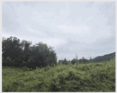  2024Ÿ��5663  �Ӿ߰��