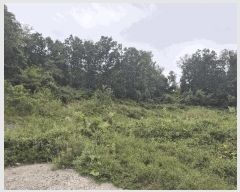  2024Ÿ��5663  �Ӿ߰��