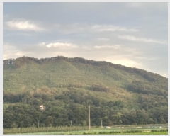  2024Ÿ��5663  �Ӿ߰��