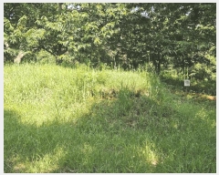  2024Ÿ��6123 ��� ���걺 ûõ�� �Ŀ��� ��29-7      ����(�Ӿ�)���