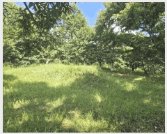  2024Ÿ��6123 ��� ���걺 ûõ�� �Ŀ��� ��29-7      ����(�Ӿ�)���