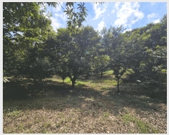  2024Ÿ��6123 ��� ���걺 ûõ�� �Ŀ��� ��29-7      ����(�Ӿ�)���