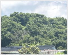  2024Ÿ��6123 ��� ���걺 ûõ�� �Ŀ��� ��29-7      ����(�Ӿ�)���