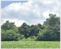  2024Ÿ��6123 ��� ���걺 ûõ�� �Ŀ��� ��29-7      ����(�Ӿ�)���