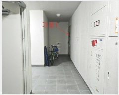  2024Ÿ50519  ûֽ  ȭ214 29, 107 121201ȣ (,ũ̸)   Ʈ