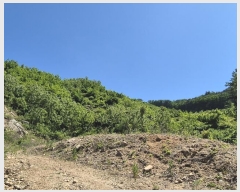  2024Ÿ��55088 ��� ���걺 �縮�� ���ϸ� 707-1      ���(�󰡽ü�)���