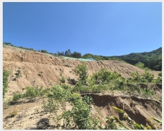  2024Ÿ��55088 ��� ���걺 �縮�� ���ϸ� 707-1      ���(�󰡽ü�)���