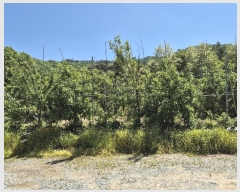  2024Ÿ��55088 ��� ���걺 �縮�� ���ϸ� 707-1      ���(�󰡽ü�)���