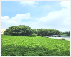  2024Ÿ��57336 ��� û�ֽ� û���� ������ ������ 253     ����(��1)���