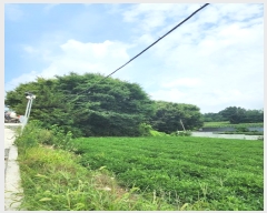  2024Ÿ��57336 ��� û�ֽ� û���� ������ ������ 253     ����(��1)���