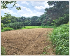  2024Ÿ��57336 ��� û�ֽ� û���� ������ ������ 253     ����(��1)���