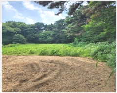  2024Ÿ��57336 ��� û�ֽ� û���� ������ ������ 253     ����(��1)���