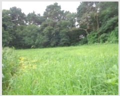  2024Ÿ��57336 ��� û�ֽ� û���� ������ ������ 253     ����(��1)���