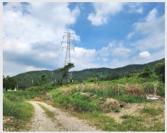  2024Ÿ��60219 ��� û�ֽ� û���� ������ ������ ��44-14     ����(�Ӿ�)���