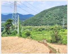  2024Ÿ��60219 ��� û�ֽ� û���� ������ ������ ��44-14     ����(�Ӿ�)���