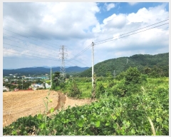  2024Ÿ��60219 ��� û�ֽ� û���� ������ ������ ��44-14     ����(�Ӿ�)���