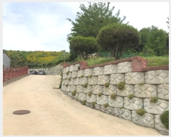  2024Ÿ��2732 ��� û�ֽ� ��籸 ������ �뵿�� 69-4     ������