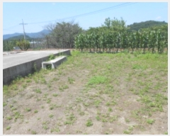  2024Ÿ��2732 ��� û�ֽ� ��籸 ������ �뵿�� 69-4     ������