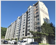  2024Ÿ��55774  ����Ʈ���