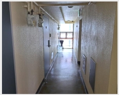  2024Ÿ56197  ûֽ   505   8 802ȣ  Ʈ