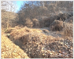  2024Ÿ64969  걺   59      (1)