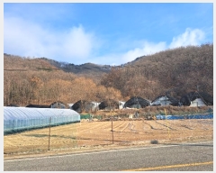  2024Ÿ64969  걺   59      (1)