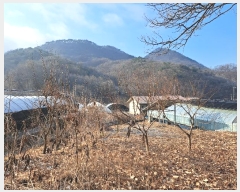  2024Ÿ64969  걺   59      (1)