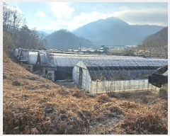  2024Ÿ64969  걺   59      (1)