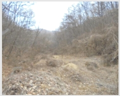  2024Ÿ64969  걺   59      (1)