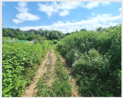  2024Ÿ��3261 ��� û�ֽ� ����� ������ ��õ�� 15     ����(��1)���