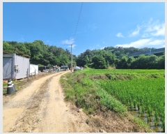  2024Ÿ��3261 ��� û�ֽ� ����� ������ ��õ�� 15     ����(��1)���