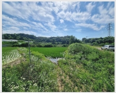  2024Ÿ��3261 ��� û�ֽ� ����� ������ ��õ�� 15     ����(��1)���