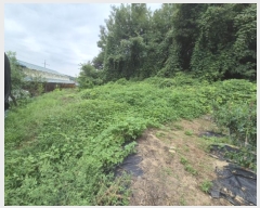  2024Ÿ��59028 ��� ��õ�� ����� ������ ��83-1      ����(�Ӿ�)���