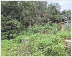  2024Ÿ��59028 ��� ��õ�� ����� ������ ��83-1      ����(�Ӿ�)���