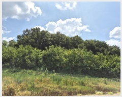  2024Ÿ��59028 ��� ��õ�� ����� ������ ��83-1      ����(�Ӿ�)���