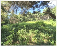  2024Ÿ��59028 ��� ��õ�� ����� ������ ��83-1      ����(�Ӿ�)���