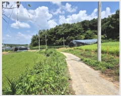  2024Ÿ��59028 ��� ��õ�� ����� ������ ��83-1      ����(�Ӿ�)���