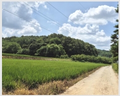  2024Ÿ��59028 ��� ��õ�� ����� ������ ��83-1      ����(�Ӿ�)���