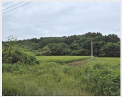  2024Ÿ��59028 ��� ��õ�� ����� ������ ��83-1      ����(�Ӿ�)���