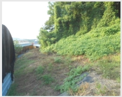  2024Ÿ��59028 ��� ��õ�� ����� ������ ��83-1      ����(�Ӿ�)���