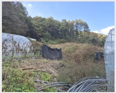  2024Ÿ��61601 ��� û�ֽ� ��籸 �̿��� ��� 165-4     ����(����)���